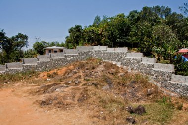 Periyar Rezerv Ormanı, Thekkady, Kerala