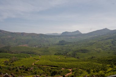 Munnar Çay Bahçesi, Kerala 