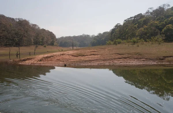 Lago Periyar Thekkady Kerala — Fotografia de Stock
