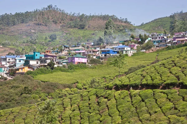 Jardín Munnar Kerala — Foto de Stock