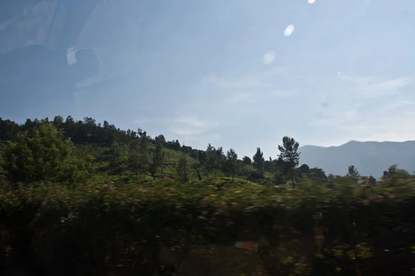 Tea Garden Munnar Kerala — Stock Fotó