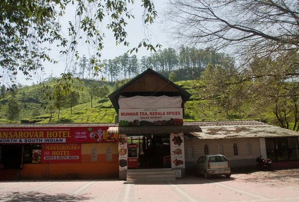 Jardín Munnar Kerala — Foto de Stock