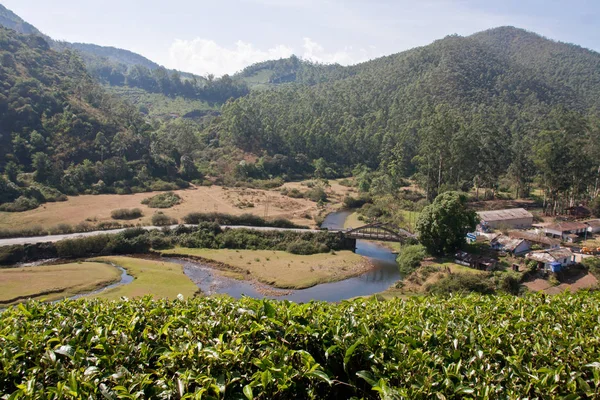 Tea Garden Munnar Kerala — Foto Stock