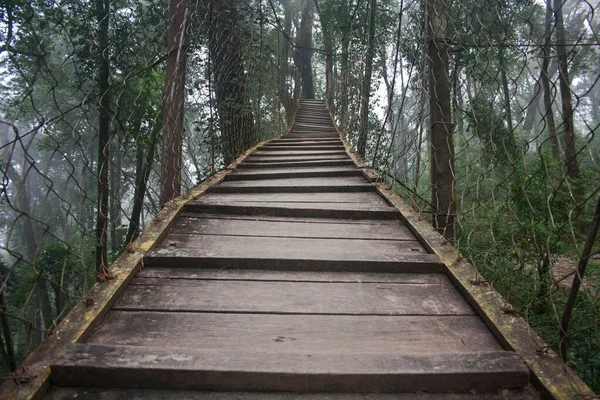 Lolegaon 'daki güzel orman tepe örtüsü