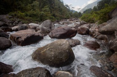 Dağ suyu akıntısı kayalık yüzeyde akıyor