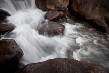 Dağ suyu akıntısı kayalık yüzeyde akıyor