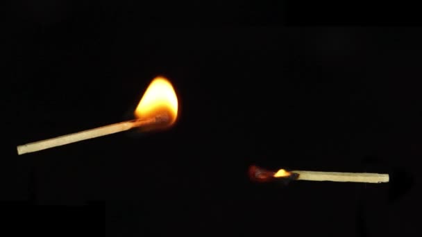 Set Two Burning Fading Matches Horizontally Angle Isolated Black Background — Stock Video