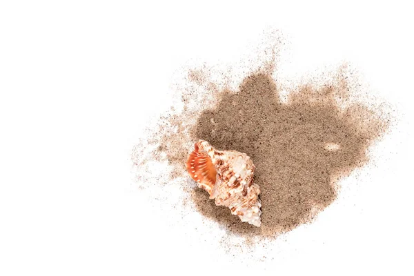 One Sea Shell Sand Pile Isolated White Background Top View — Stock Photo, Image