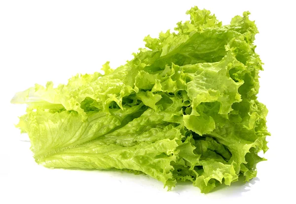 Salatblätter Isoliert Auf Weißem Hintergrund Seitenansicht — Stockfoto