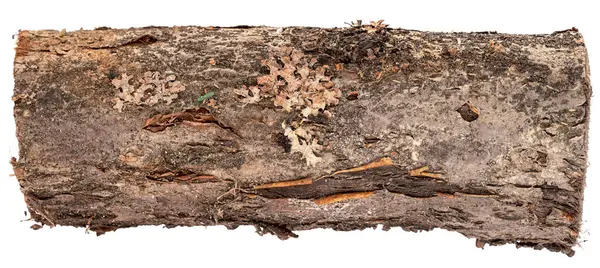 Suché Dřevo Dřevěné Izolovaných Bílém Pozadí — Stock fotografie