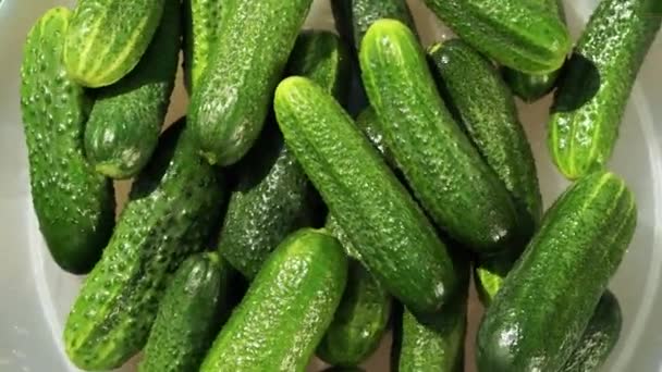 Hand Puts Fresh Cucumbers Rotating Tray — Stock Video