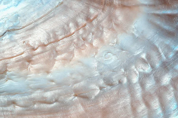 Luxury Nacre Seashell Background Texture Close — Stock Photo, Image