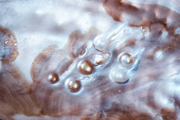Luxus Perlmutt Muschel Hintergrund Textur Mit Kleinen Perlen Nahaufnahme — Stockfoto