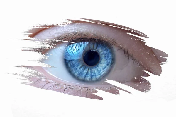 Olho Humano Isolado Fundo Branco Dentro Pintado Pincel Acidente Vascular — Fotografia de Stock