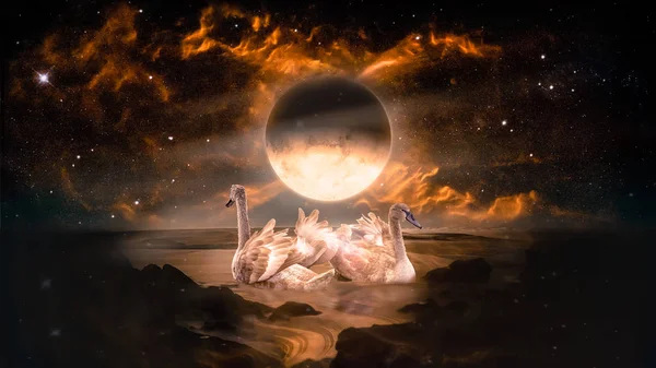 Пара Лебедів Танцює Пейзажі Фентезі Чужа Планета Море Палаючим Місяцем — стокове фото