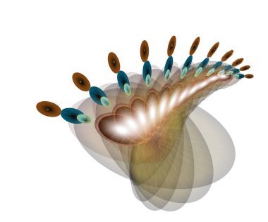 Şeffaf arka plan ile bir geometrik anstraction