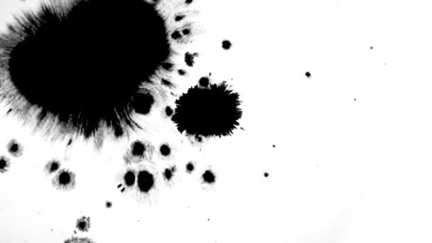 Watercolor Ink Drops White Paper Paint Bleed Bloom Black Circle — Stock Video