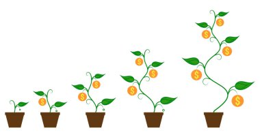 Para sikke bitki tohum dan sürecine büyük filiz bitki paraları ile büyüyen çiçek tencerede. İş yönetimi büyüme kavramı.