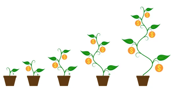 金钱硬币植物在花盆的生长过程中 从种子到大芽植物与硬币 企业管理增长理念 — 图库矢量图片
