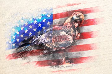 Amerikan kel kartal ABD bayrağı ile birlikte bir dokulu kağıt üzerine suluboya kroki boyayarak stilize.
