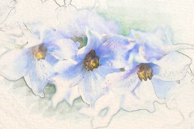 Harika delphinium mavi çiçek dokulu kağıt üzerine suluboya kroki boyayarak stilize. Retro tarzı kartpostal.