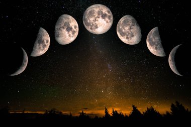 Phases of the Moon: waxing crescent, first quarter, waxing gibbous, full moon, waning gibbous, third guarter, waning crescent. Forest landscape with stars. The elements of this image furnished by NASA clipart