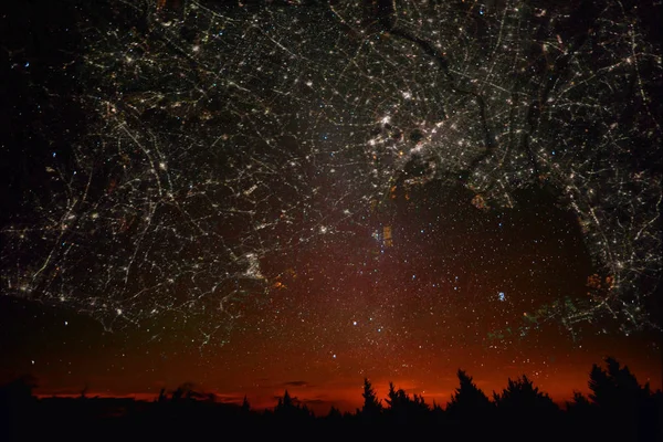 Waldlandschaft Bei Sonnenuntergang Mit Projektion Der Tokyokarte Form Von Sternen — Stockfoto