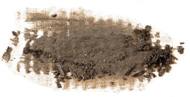 Siyah kömür doku boya leke fırça darbesi, el boyalı, beyaz arka plan üzerinde izole.