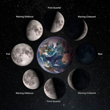 Ay 'ın akraba hareketleri Dünya' nın etrafındaki 8 aşamalı devrimdir. İlk çeyrekte hilal, dolunay ağdası, azalan üçüncü gardiyan. Bu görüntünün elementleri NASA tarafından desteklenmektedir.
