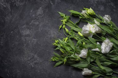 Kopya alanı ile desenli siyah tablo arkaplanı üzerine Eustoma düzeni.