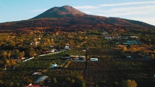 Vídeo Montagem Vesuvius — Vídeo de Stock