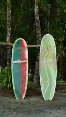 sörf tahtaları Beach