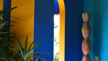 bitkiler ile mavi sarı duvarlar