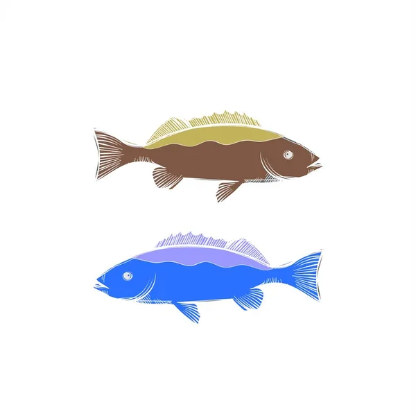 Barracuda fisk i havet vektor logotyp och illustration — Stock vektor