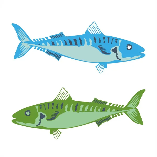 Barracuda fisk i havet vektor logotyp och illustration — Stock vektor