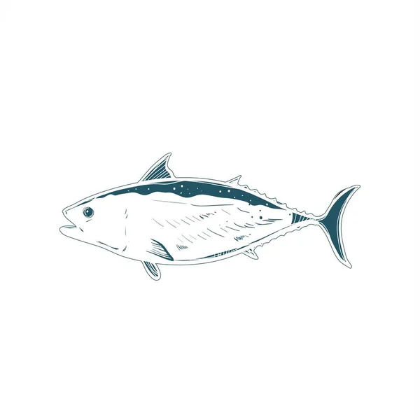 Риба лосося векторний логотип і справжня ілюстрація — стоковий вектор