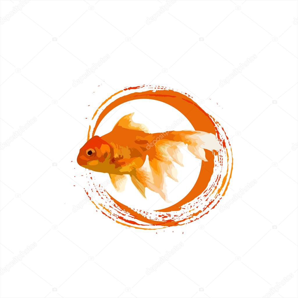 koi golden fish illustration