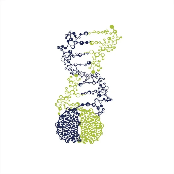Agyi DNS Helix gén kromoszóma logó és vektor ikon — Stock Vector