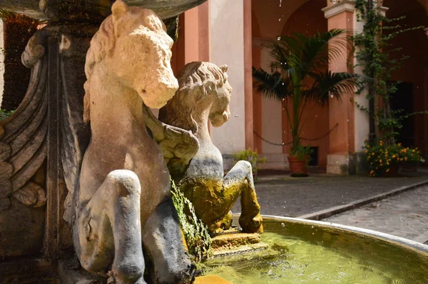 Roma'nın avlularında eski çeşme, yaz