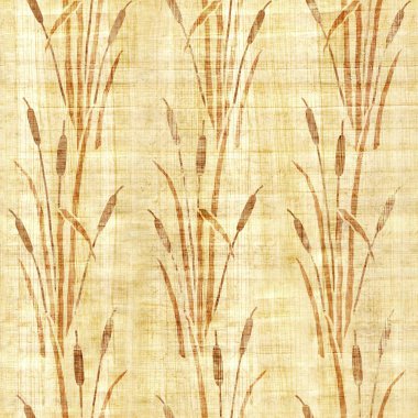 Water Reed Bitkisi - Bataklık Çimi - Dekoratif arka planda kalıp