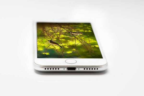 Телефон с изображением птиц на нем