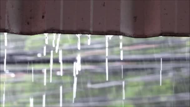 Rain Falling Roof Sound — Stock Video