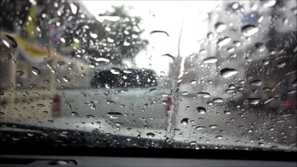 Rain Falling Windshield Sound — Stock Video