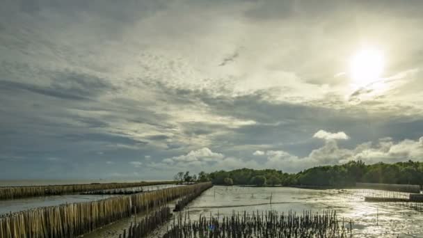 Puesta de sol detrás de las nubes. Las nubes se mueven rápido bosque de manglares durante el período de marea baja. Línea de bambú evita que el agua rompa la orilla . — Vídeo de stock
