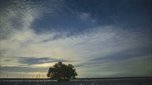 Vía Láctea Escondida Detrás Las Nubes Los Árboles Manglar — Vídeos de Stock