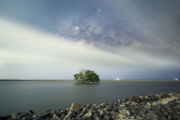 Signos, signos, cuidado con las curvas en la noche, detrás de la señal, con t — Foto de Stock