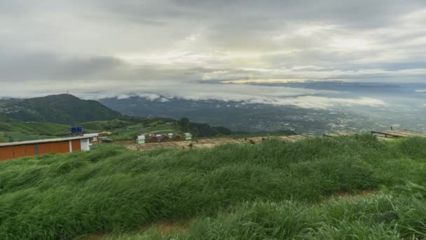 在普图布伯克山顶上，雾气笼罩着山顶和森林。雨后自然 — 图库视频影像