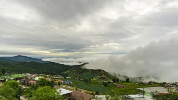 Mlha nad vrcholky a lesy v mlze přerušuje. Příroda po dešti — Stock video