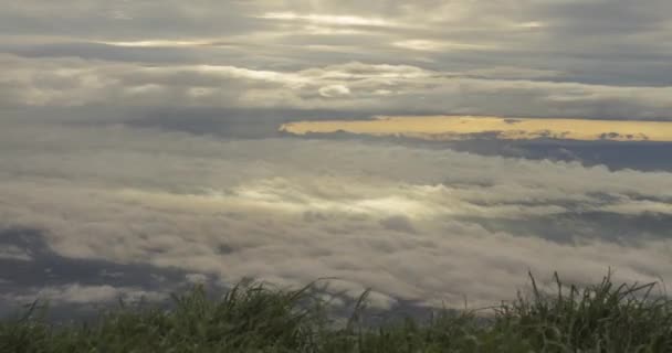 在普图布伯克山顶上，雾气笼罩着山顶和森林。雨后自然 — 图库视频影像