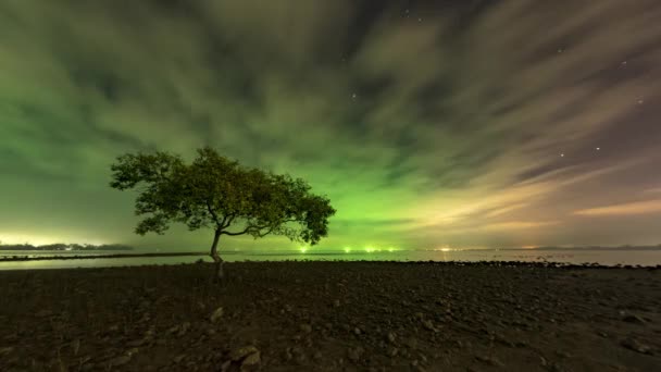 一棵树在春蓬海滩 4K延时云的运动和银河红树林区收到绿灯从渔船 — 图库视频影像